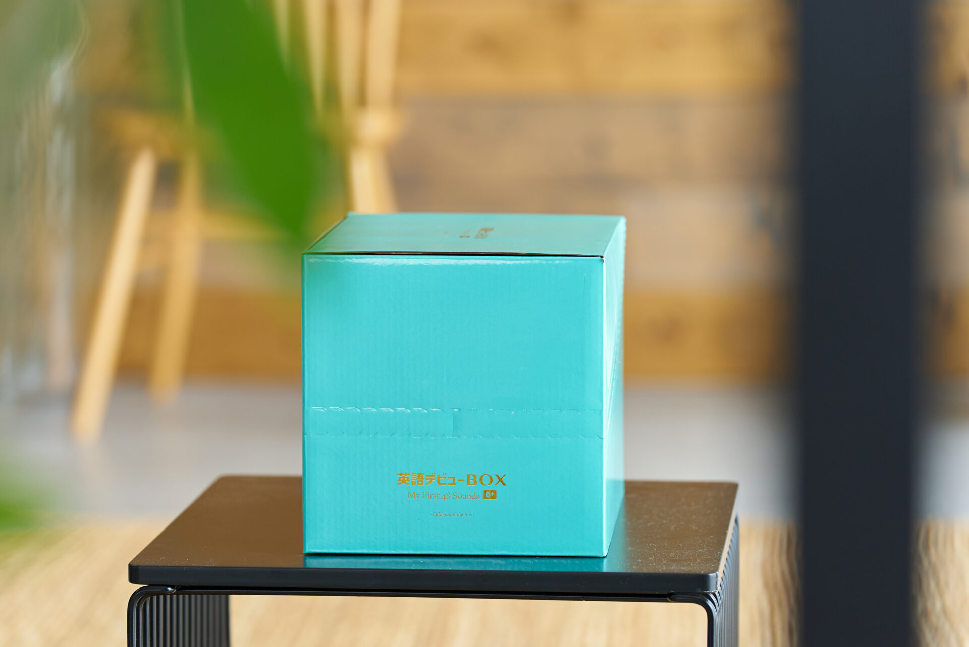 英語デビューBOXの箱の商品写真