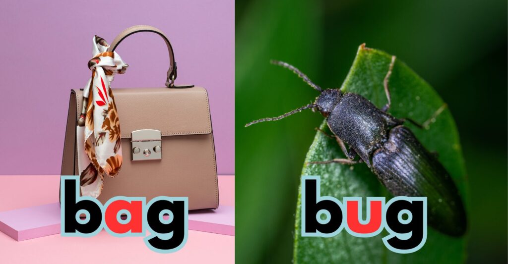 インターの選び方